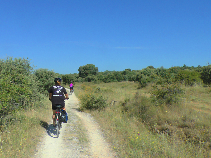 Self Guided Cycling Santa Catalina